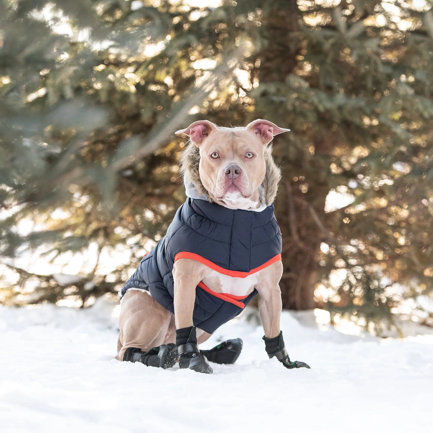 Winter Dog Parka- Water Repellent Dog Coat