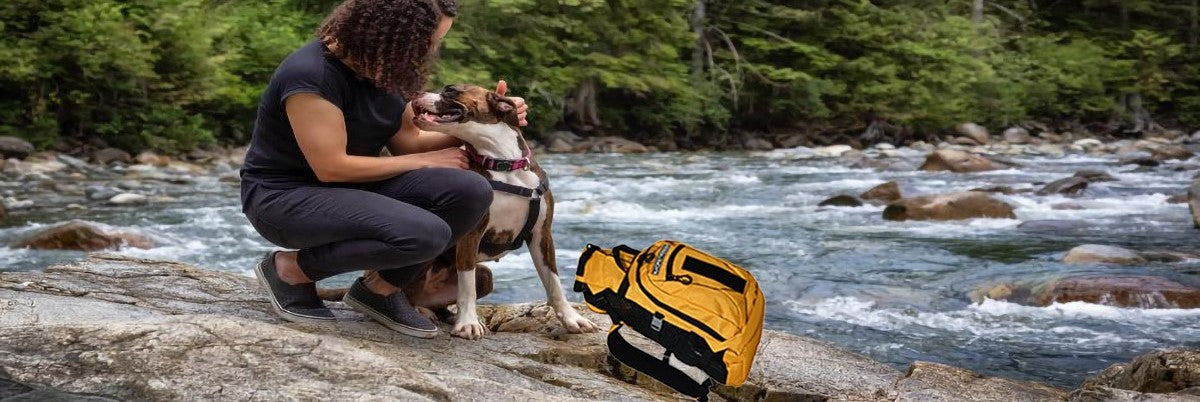 Dog-Carrier-Backpack-i