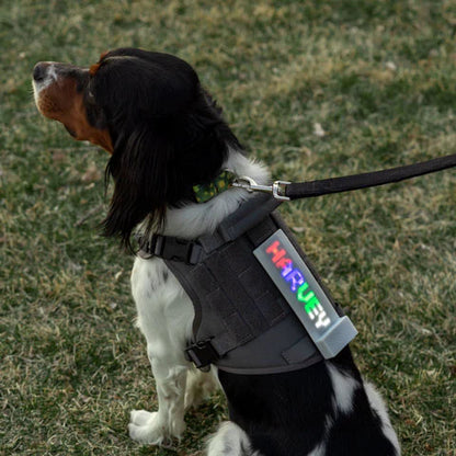 Dog Harness Light