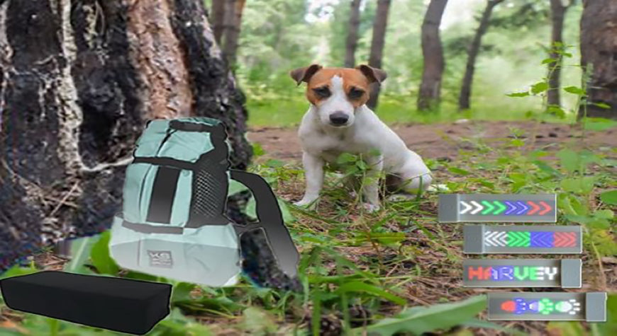 Dog Hiking Gear