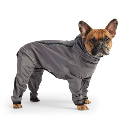 Dog wearing a gray full body raincoat on a white background