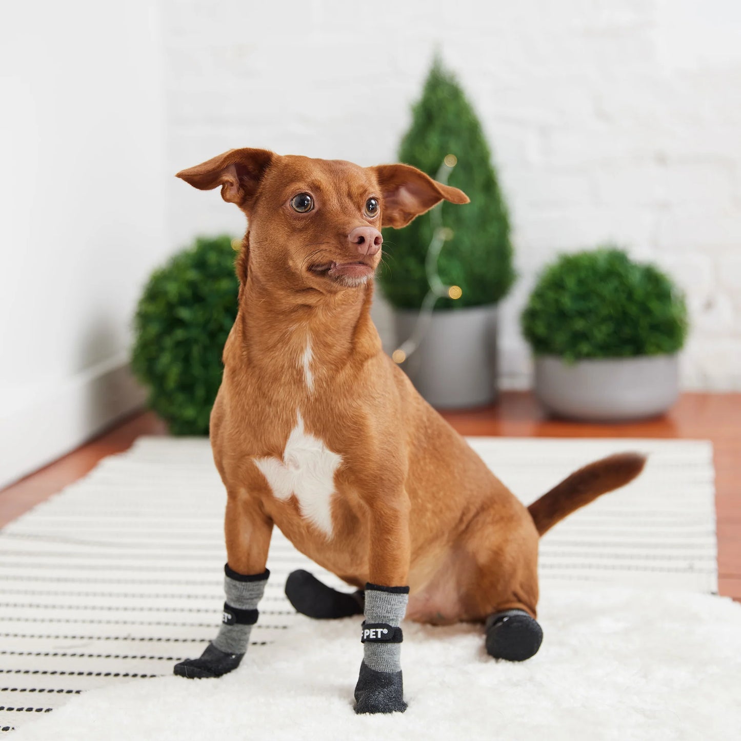 Dog Boots - All Terrain Boots