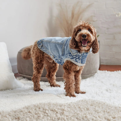 All Weather Jacket - Lightweight Denim Dog Jacket
