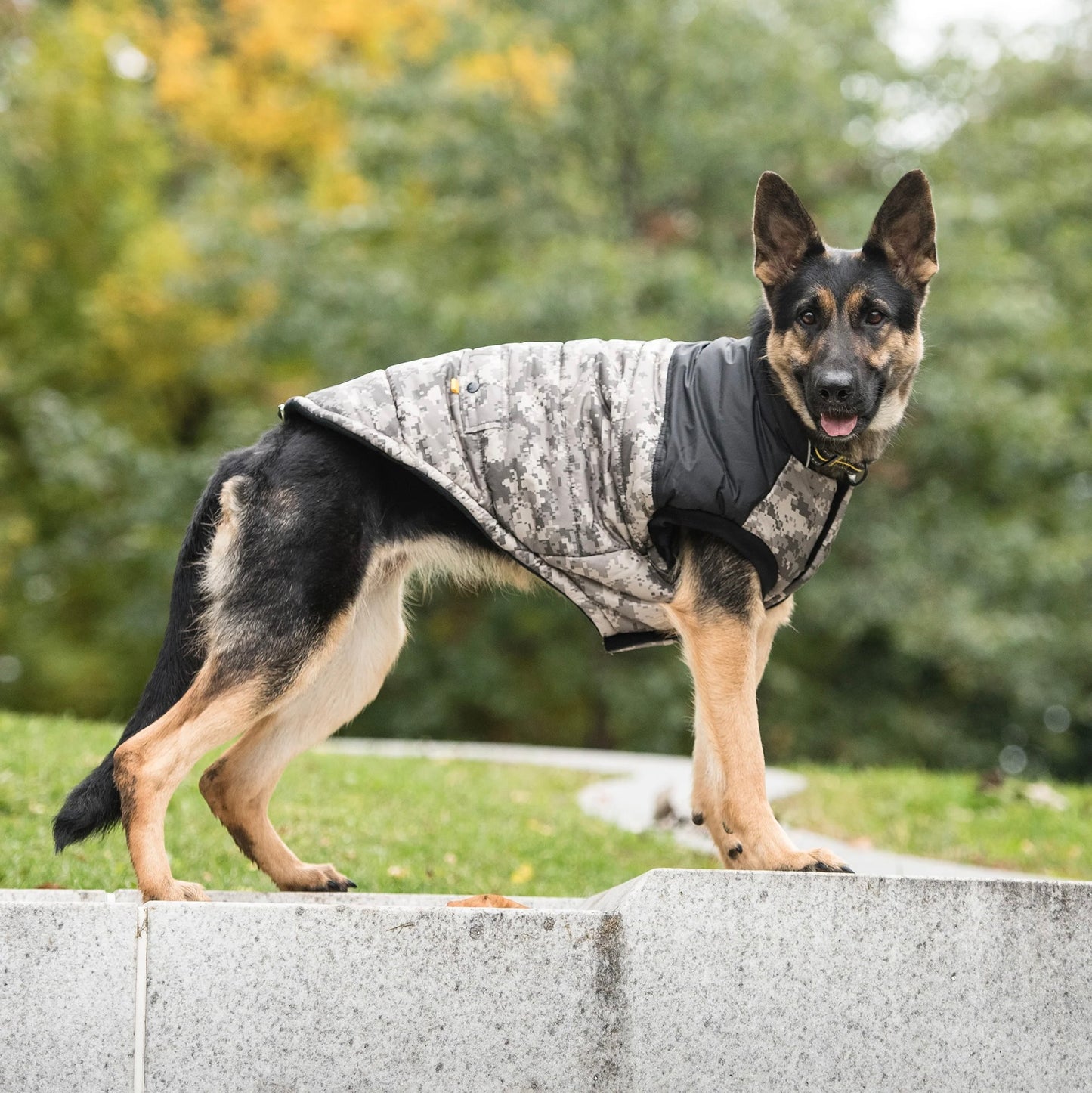 Army Green Dog Coat-Camouflage Dog Jacket