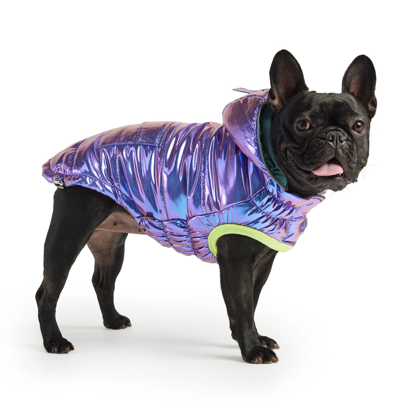 Eco Friendly Dog Jacket - Reflective Dog Coat