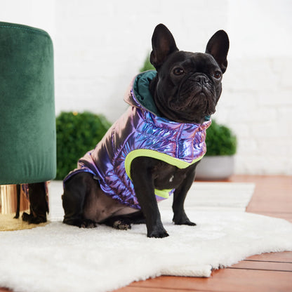 Eco Friendly Dog Jacket - Reflective Dog Coat