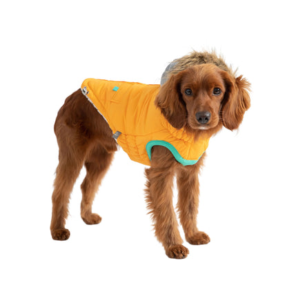 Winter Dog Parka- Water Repellent Dog Coat