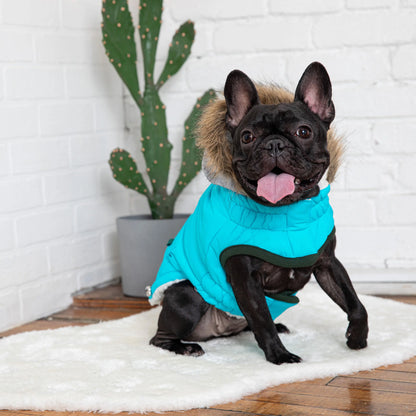 Winter Dog Parka- Water Repellent Dog Coat