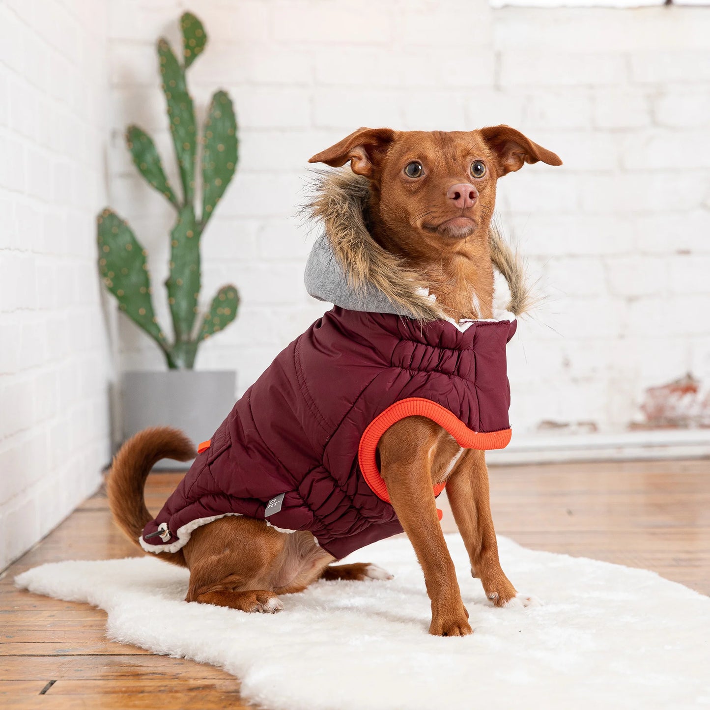 Winter Dog Parka- Water Repellent Dog Coat