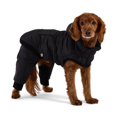 Dog Snowsuit - Odyssey Snowsuit