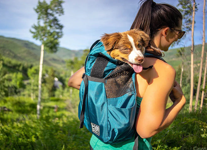 Puppy Carrier Backpack